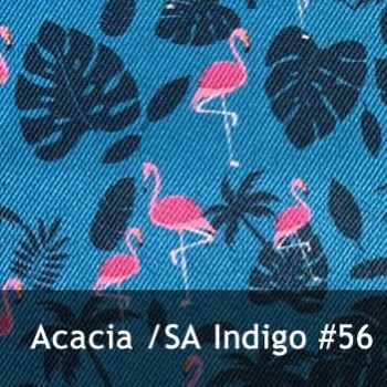 acacia59