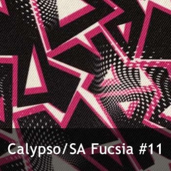 calypso11