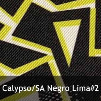 calypso2